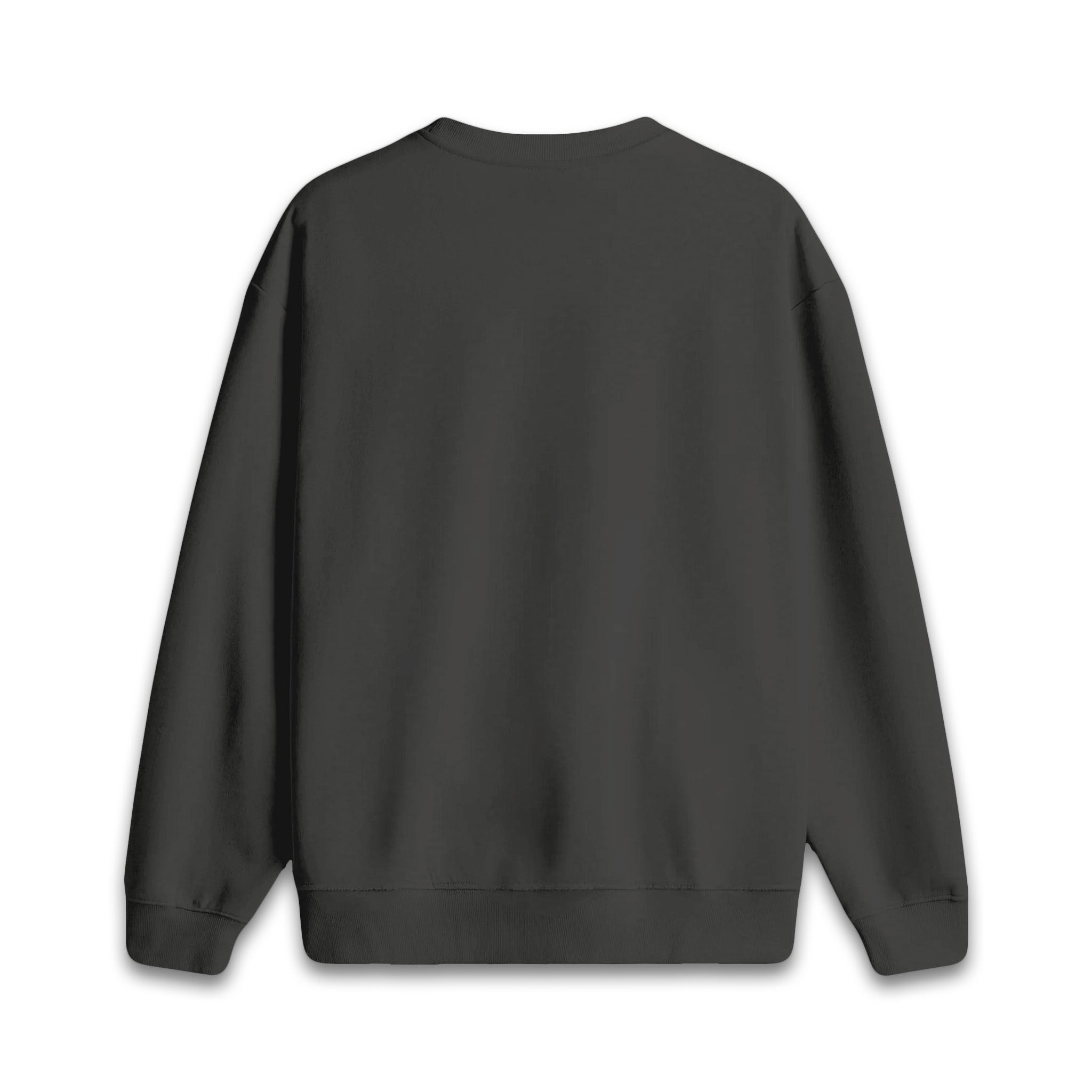 Cosmic Duo - Oversize Sweatshirt